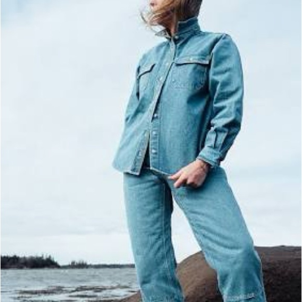 The Chamois Shirt In Pale Indigo